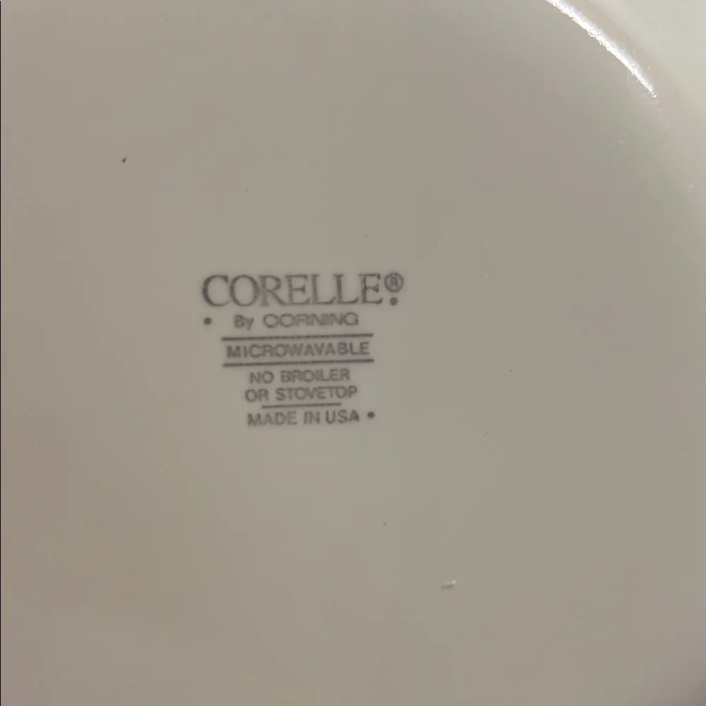 Set of 4 Salad plates by Corelle. FIRST OF SPRING. Exc condition